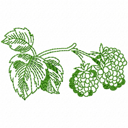 Grapes Embroidery Design 6 Grapes Embroidery Design 6